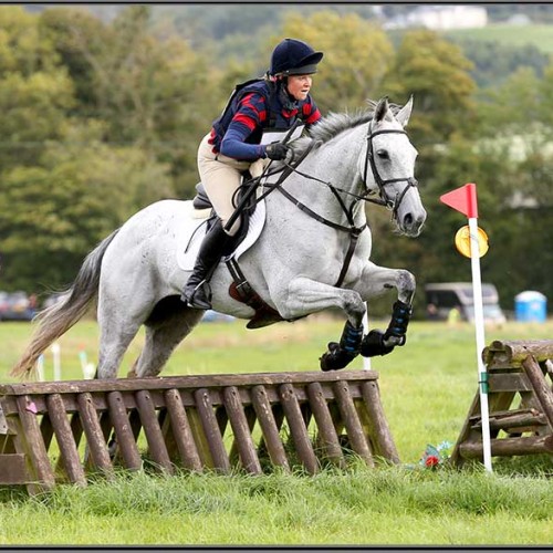 Retraining of Racehorses